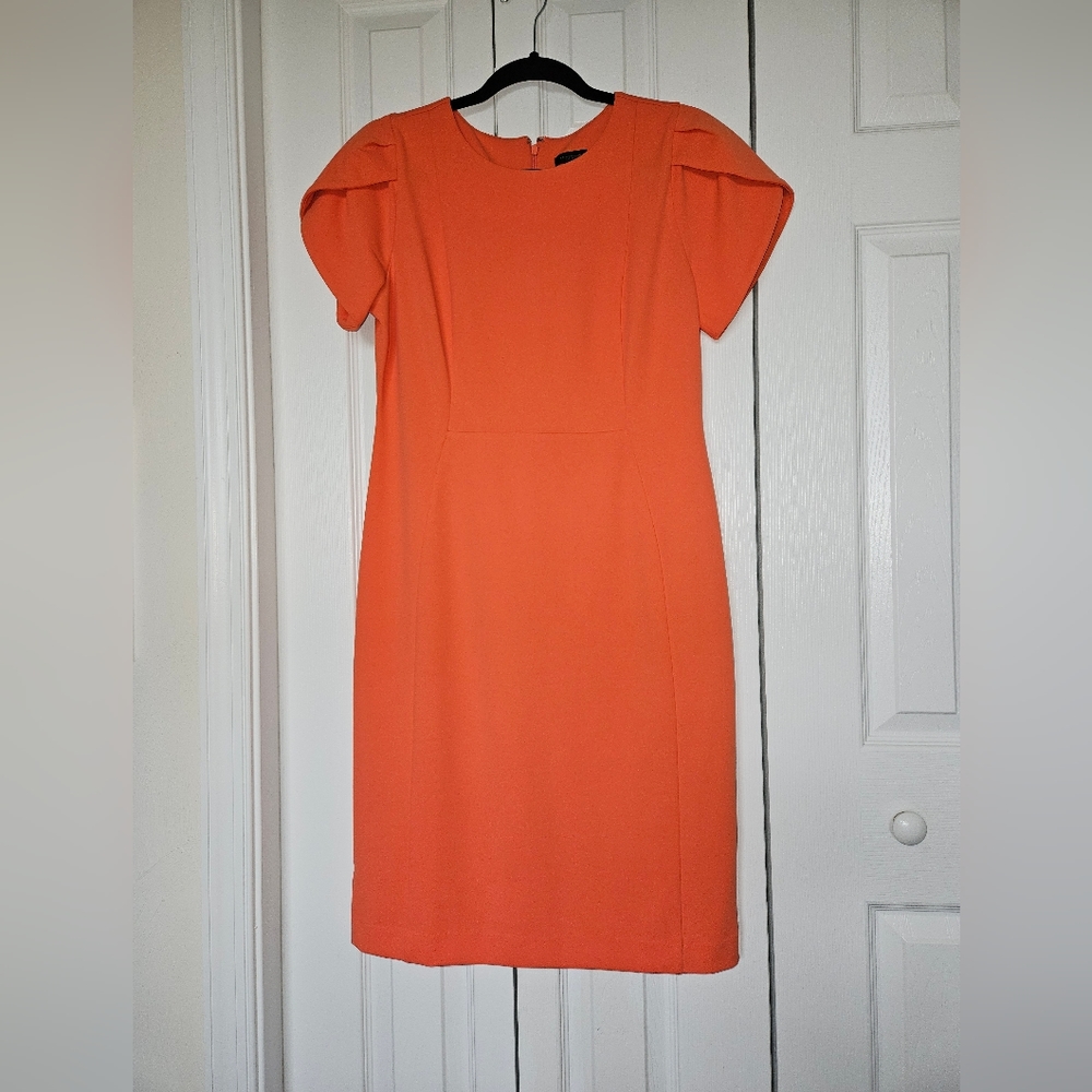 Tulip Sleeve Ann Taylor Factory Sheath Dress Size 6